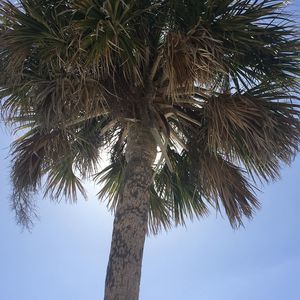 Meet your Posher, Gregory